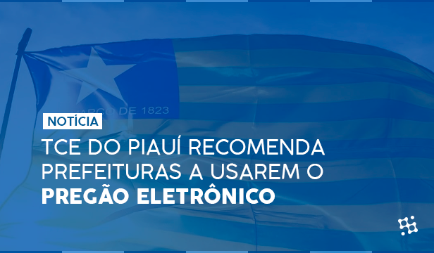 TCE do Piauí recomenda prefeituras a utilizarem o pregão eletrônico